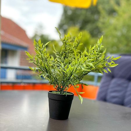 Feriendorf Papillon Wohnung 03-7 Boltenhagen  Luaran gambar