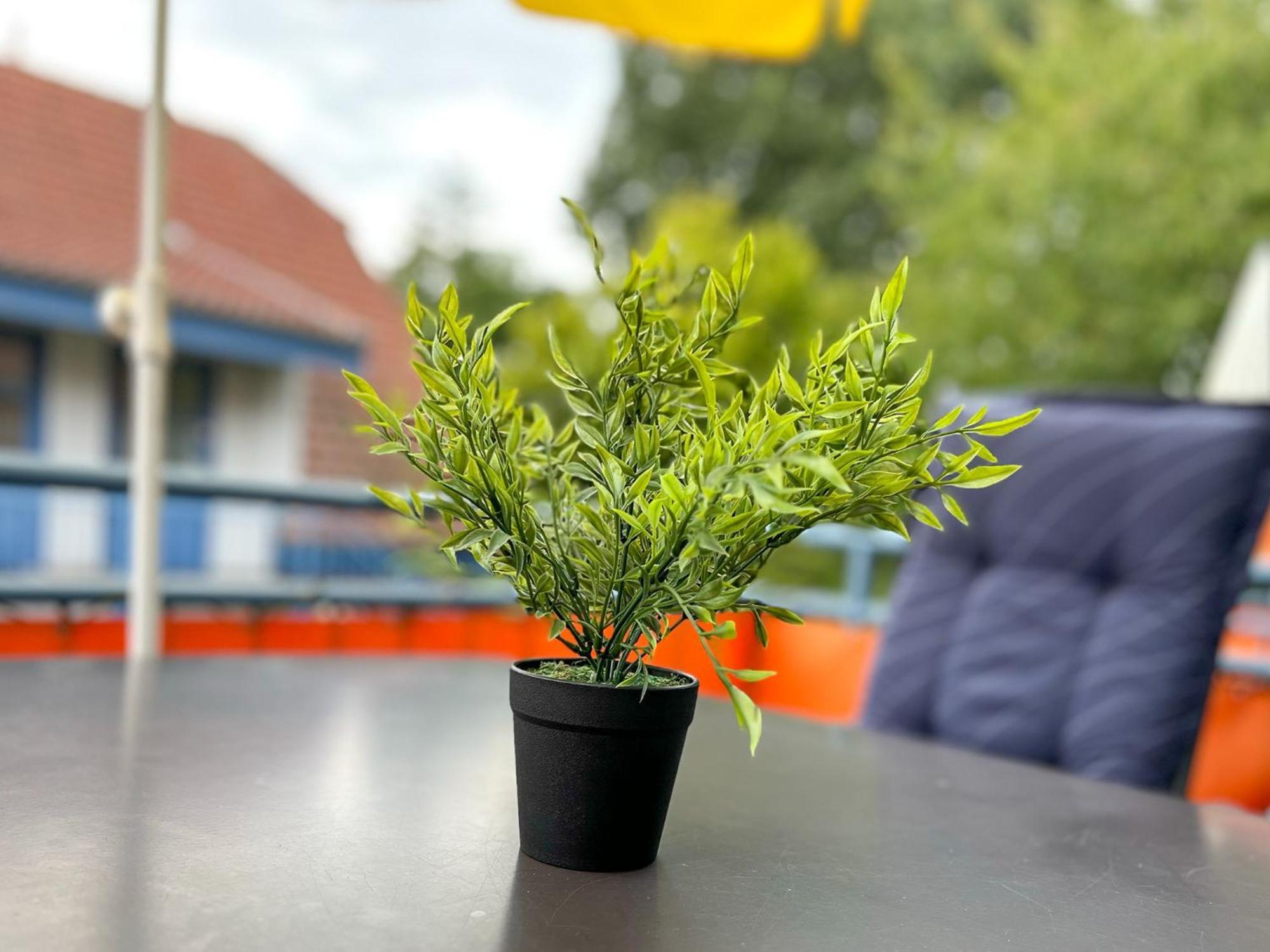 Feriendorf Papillon Wohnung 03-7 Boltenhagen  Luaran gambar